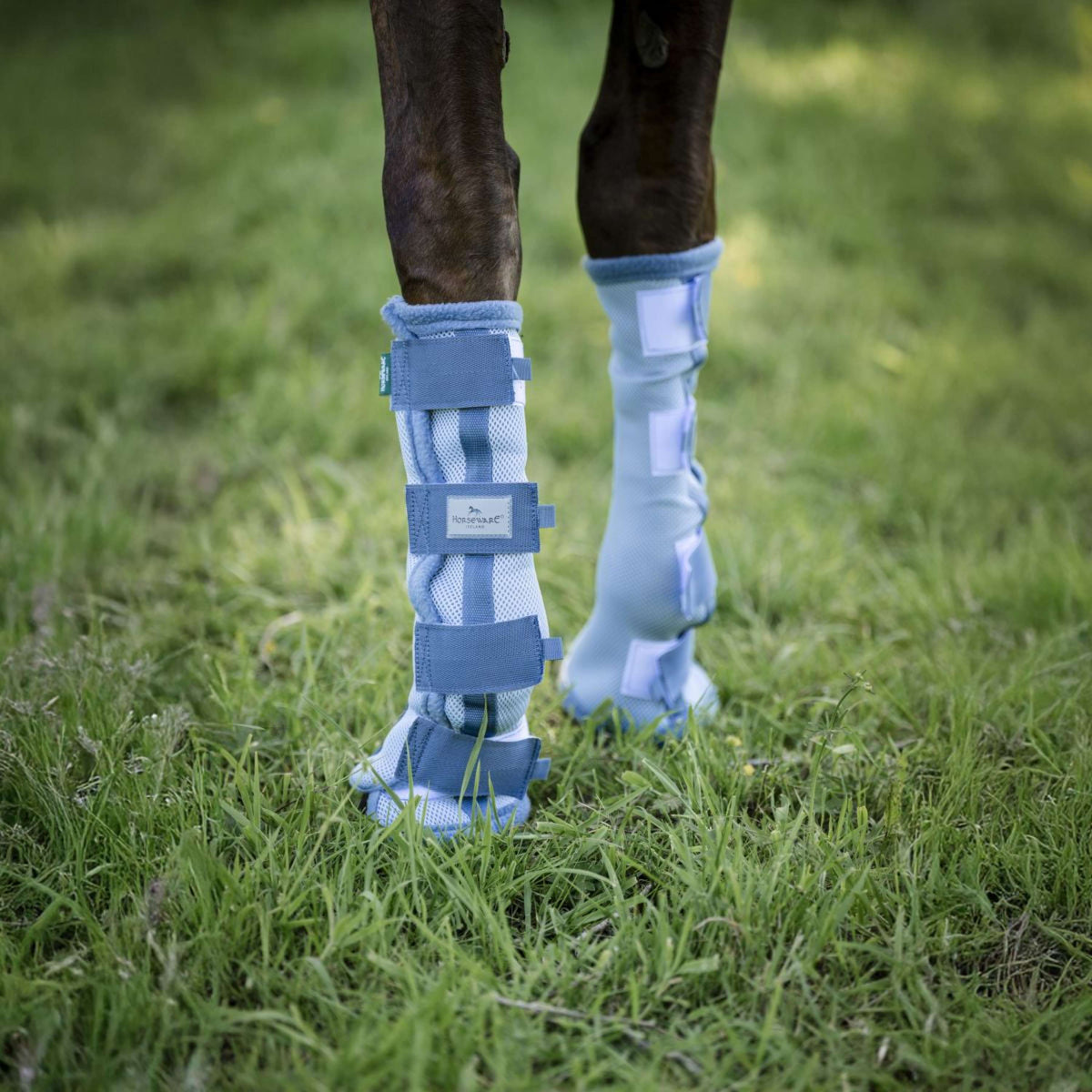 Horseware Fly Boots Set of 2 Heather Blue/Blue/Silver