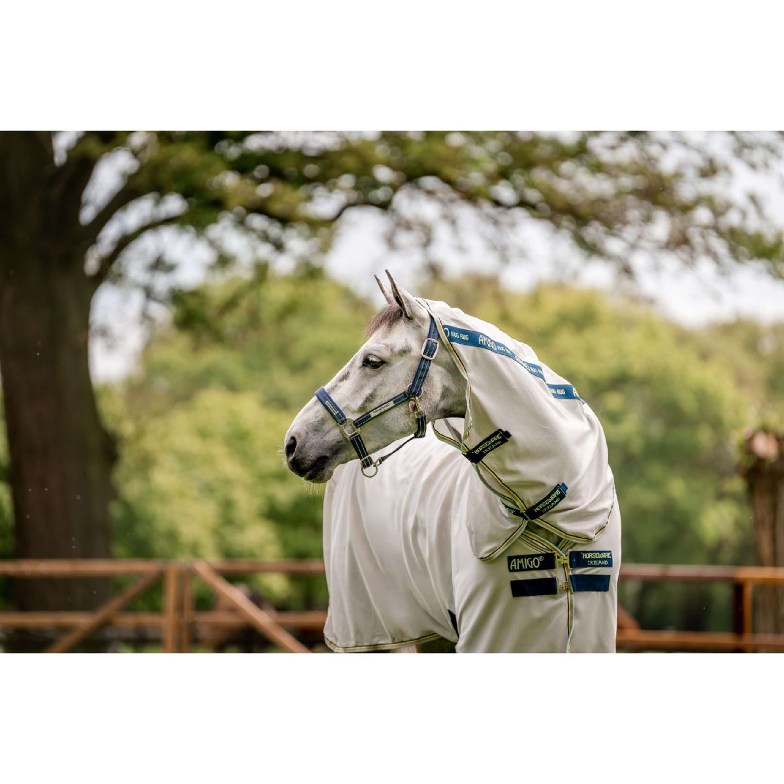 Horseware Halster Field Safe Navy