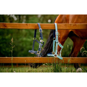 Horseware Halster Field Safe Blue Haze