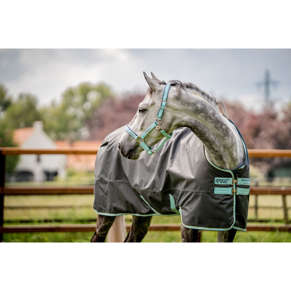 Horseware Halster Field Safe Blue Haze