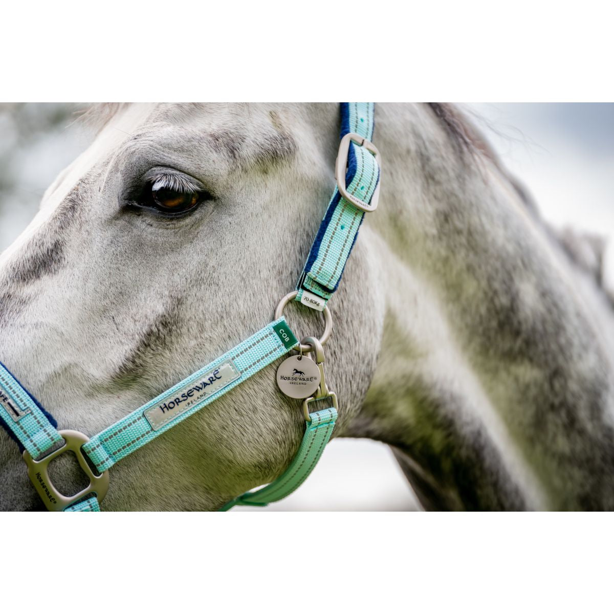 Horseware Halster Field Safe Blue Haze