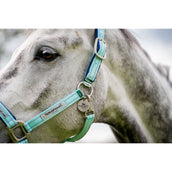 Horseware Halster Field Safe Blue Haze