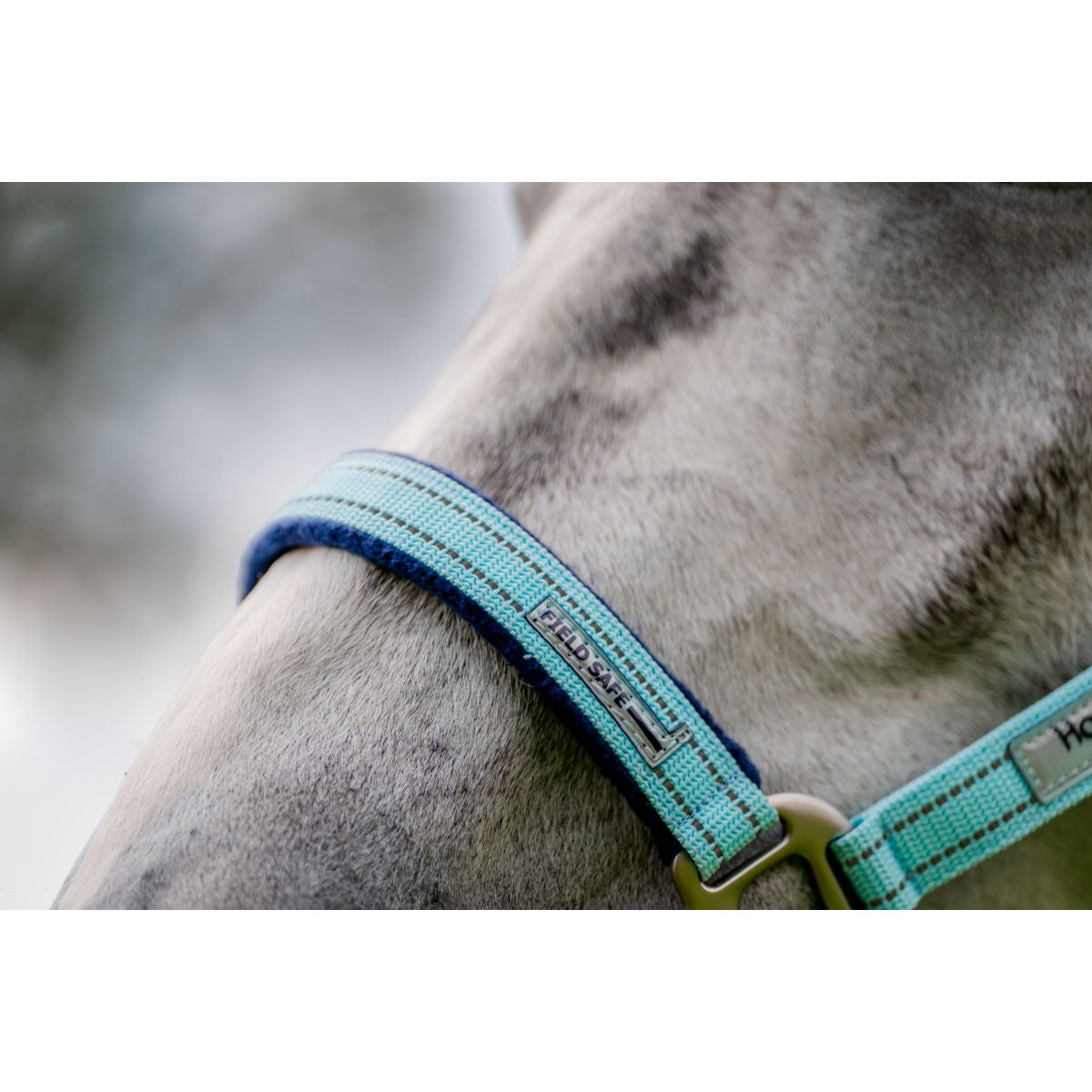 Horseware Halster Field Safe Blue Haze