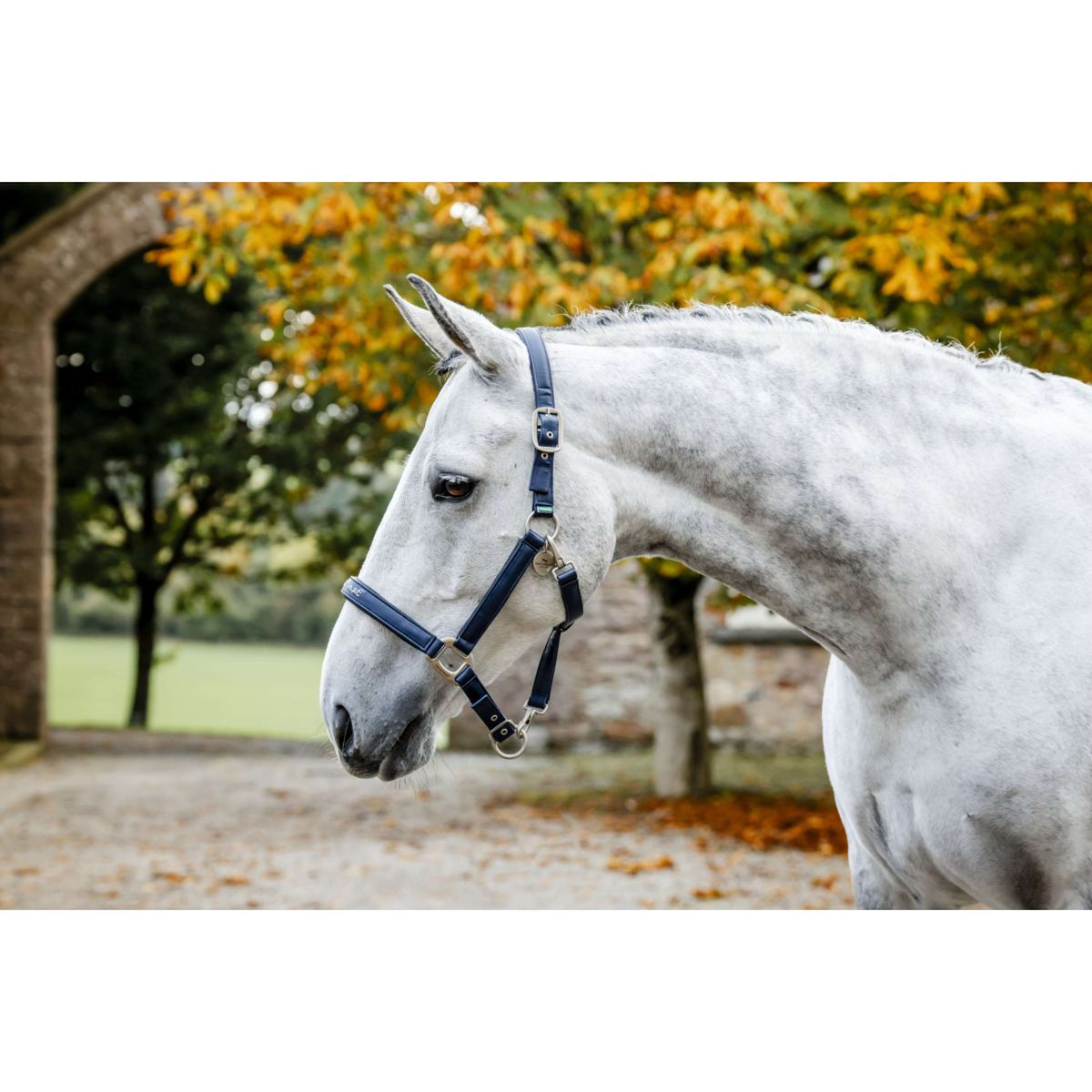 Horseware Halster Grooming Navy