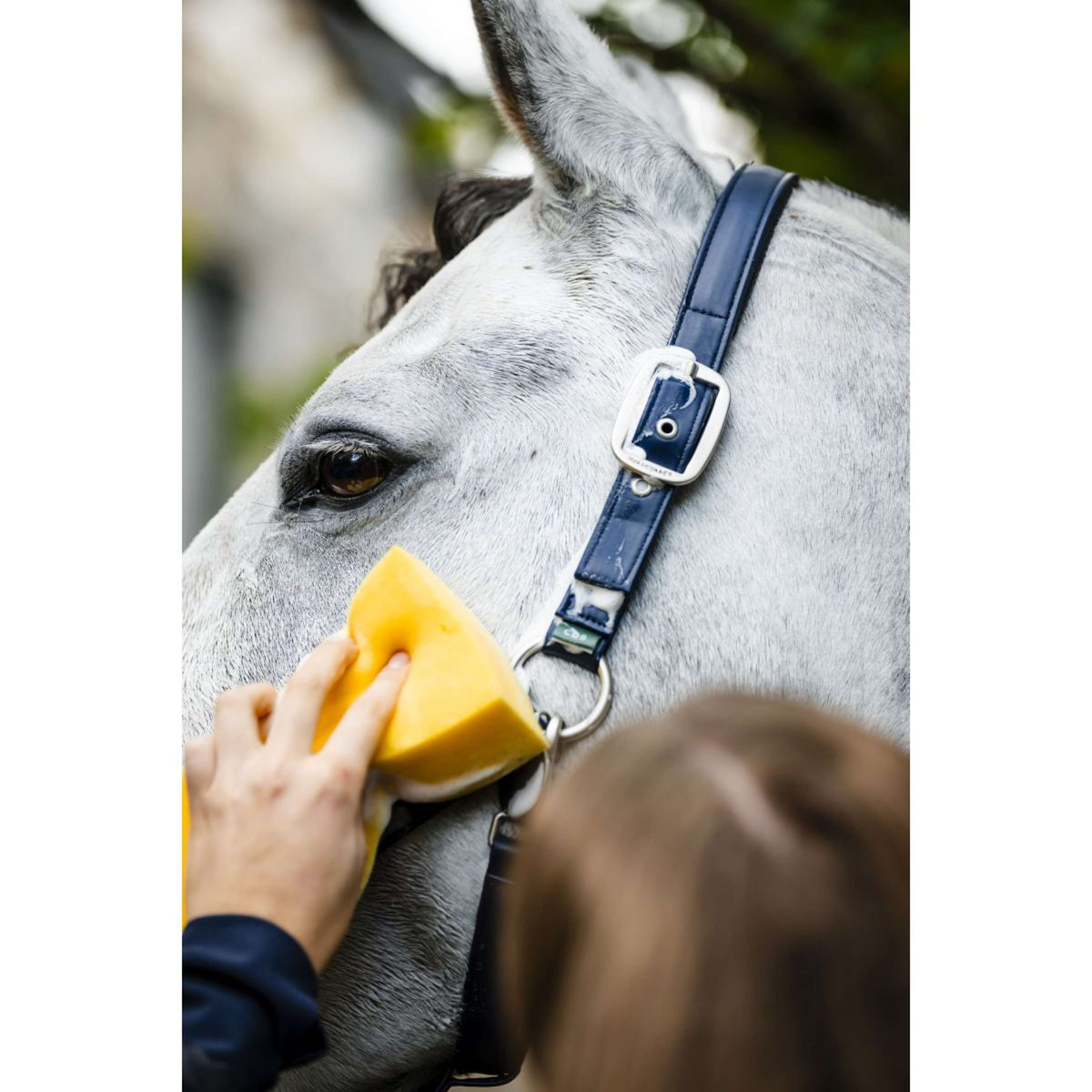 Horseware Halster Grooming Navy