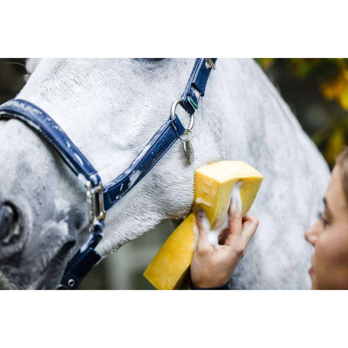 Horseware Halster Grooming Navy