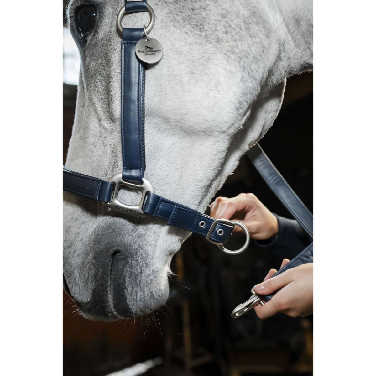 Horseware Halster Grooming Navy