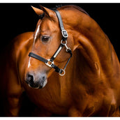 Horseware Halster Signature Leer Zwart