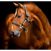 Horseware Halster Signature Leer Zwart