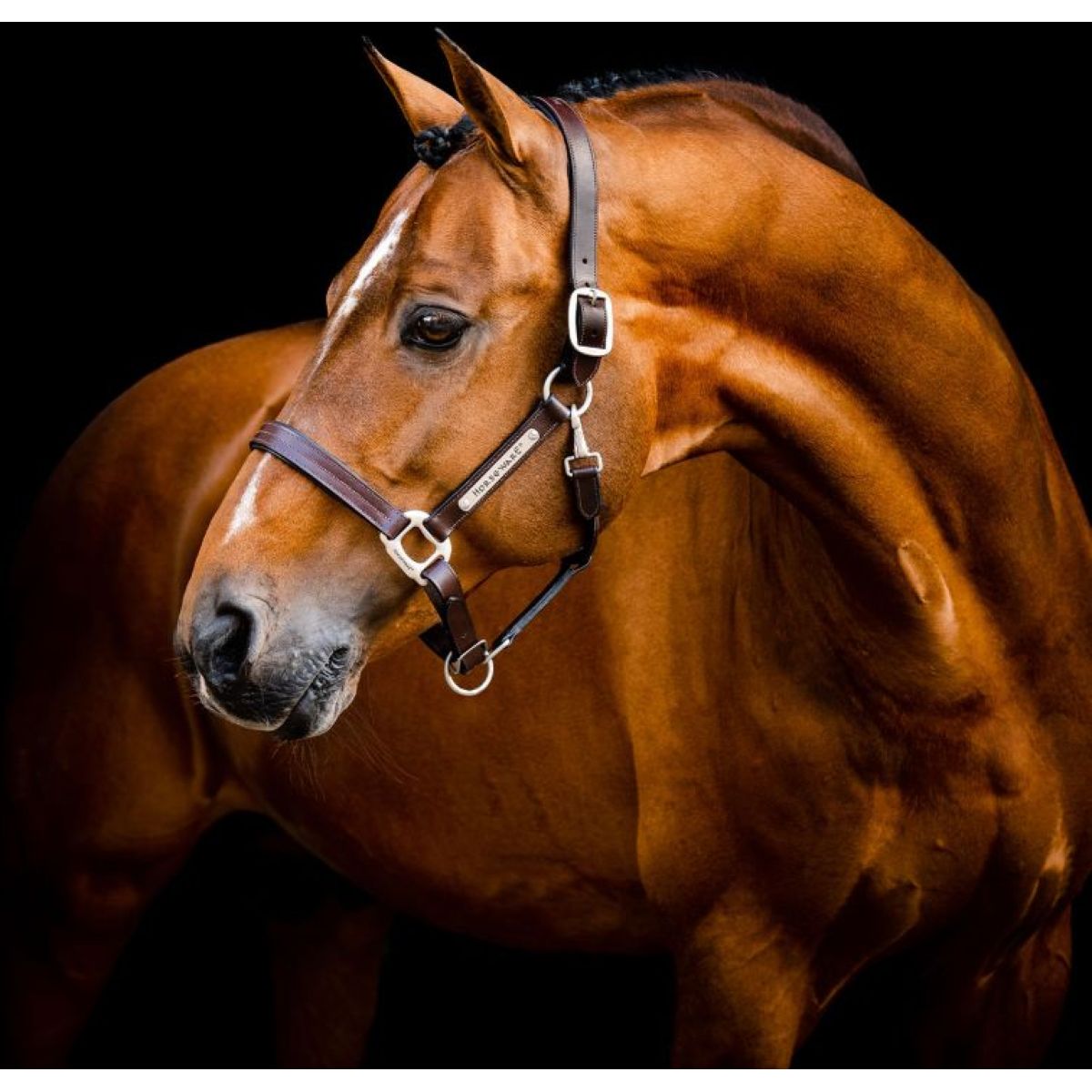 Horseware Halster Signature Leer Bruin