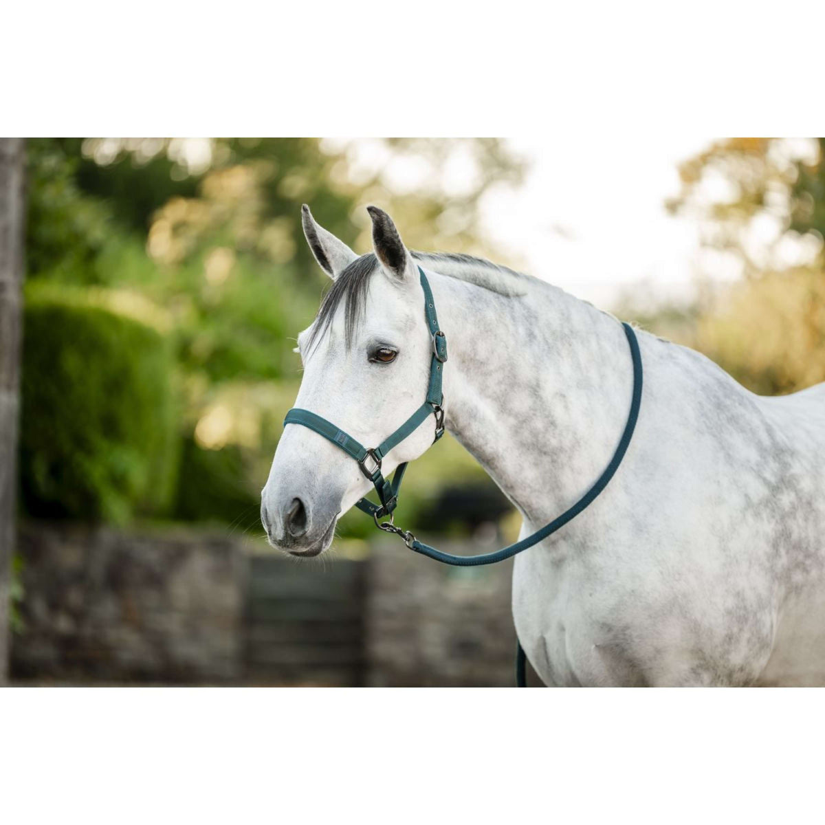 Amigo Halster & Touw Dynasty Green