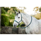 Amigo Halster & Touw Dynasty Green