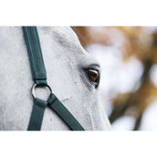 Amigo Halster & Touw Dynasty Green