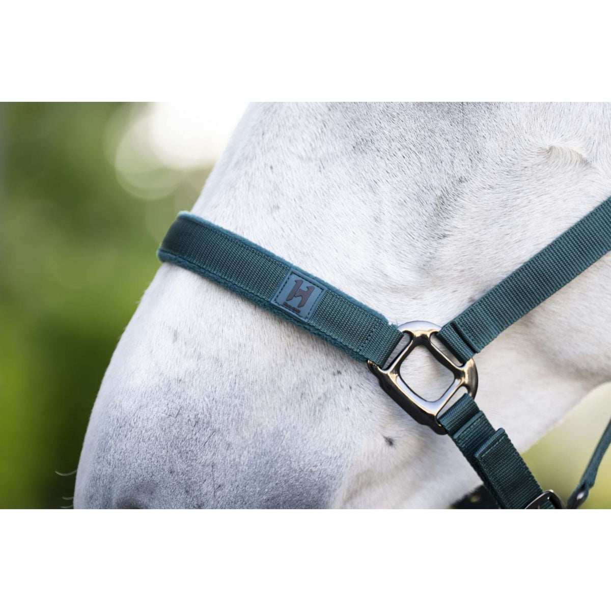 Amigo Halster & Touw Dynasty Green