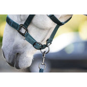 Amigo Halster & Touw Dynasty Green