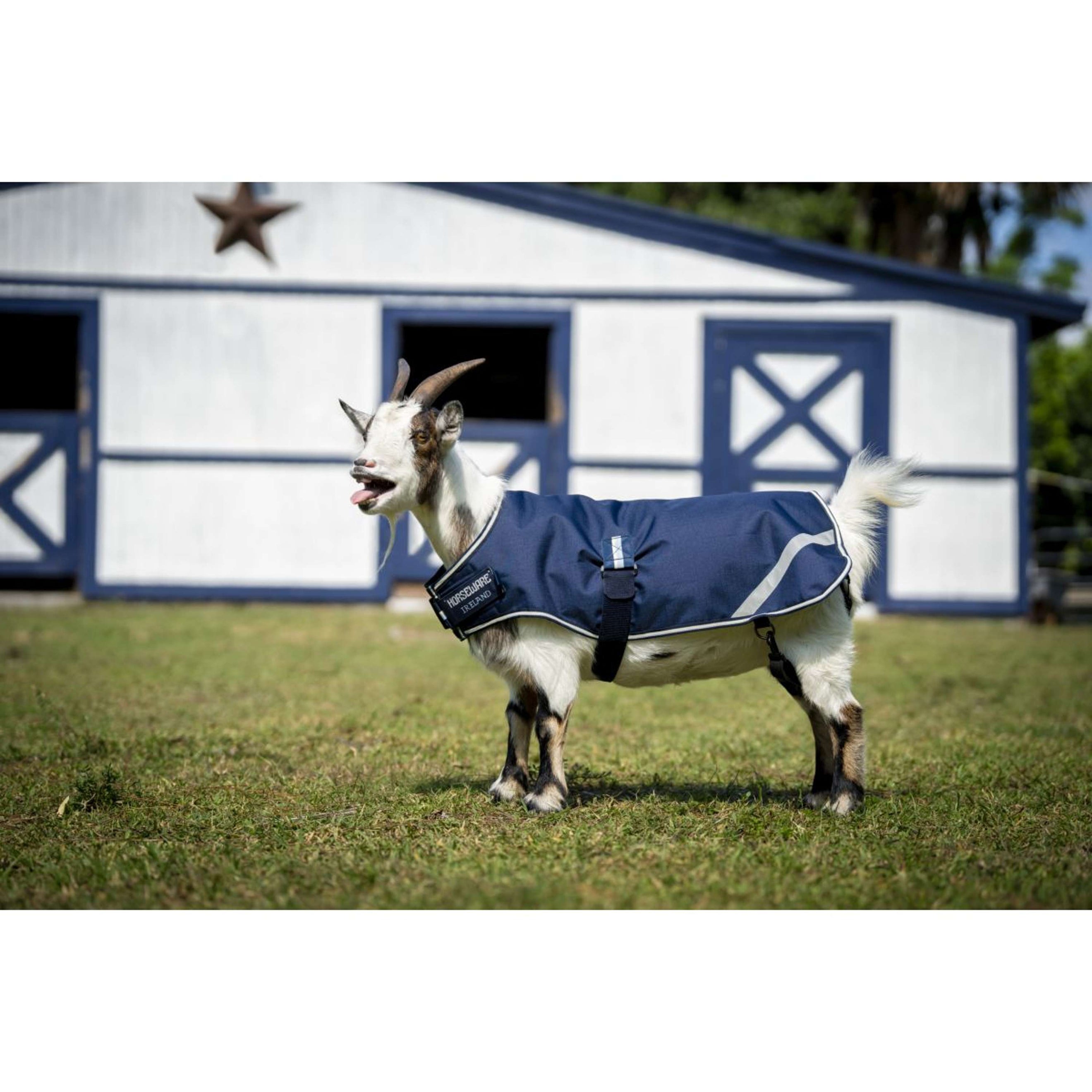 Horseware Goat Coat 200g Witney Navy