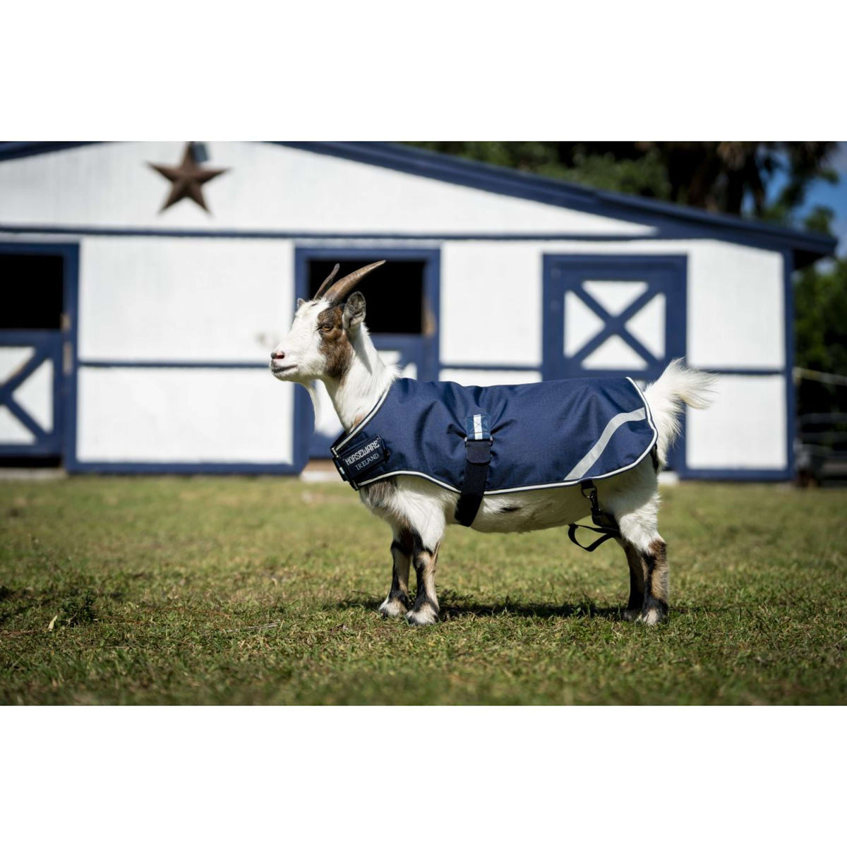Horseware Goat Coat 200g Witney Navy