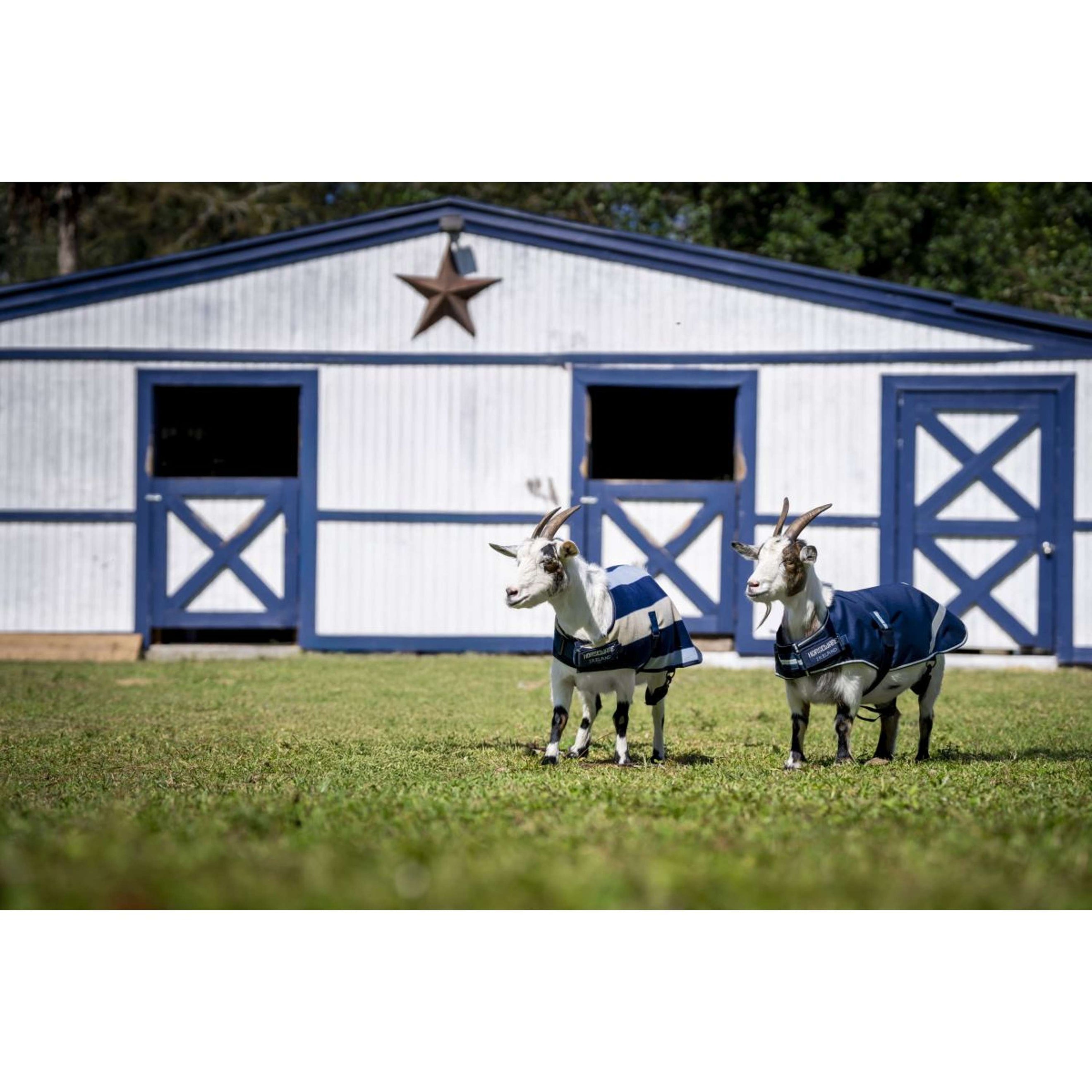 Horseware Goat Coat 200g Witney Navy Horseware Goat Coat 200g Witney Navy