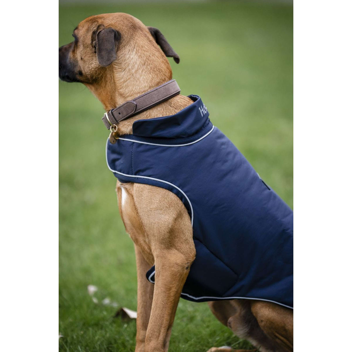 Horseware Hondenregendeken Signature 100g Navy