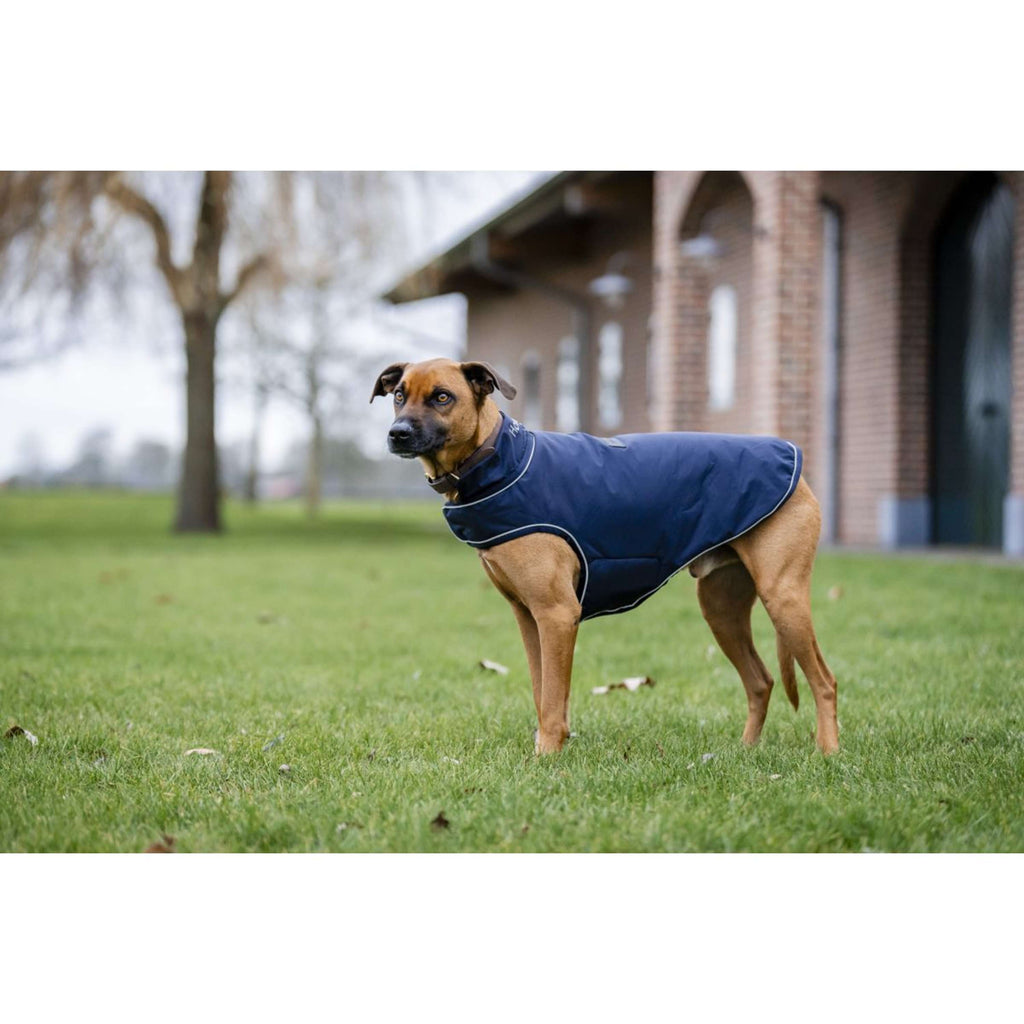 Horseware Hondenregendeken Signature 100g Navy