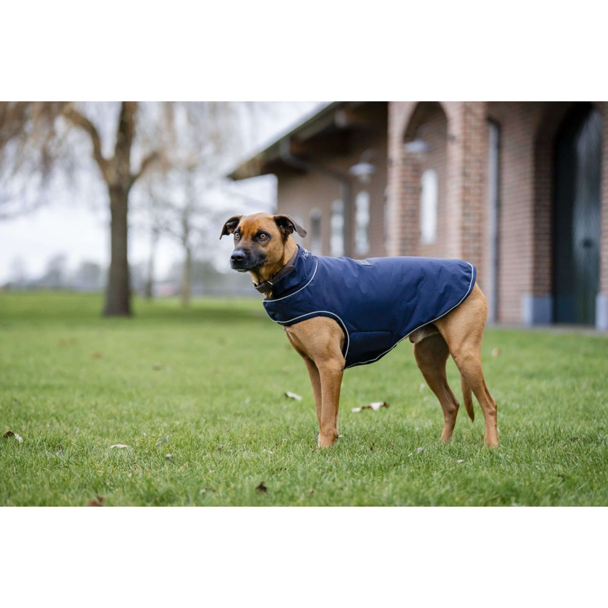 Horseware Hondenregendeken Signature 100g Navy