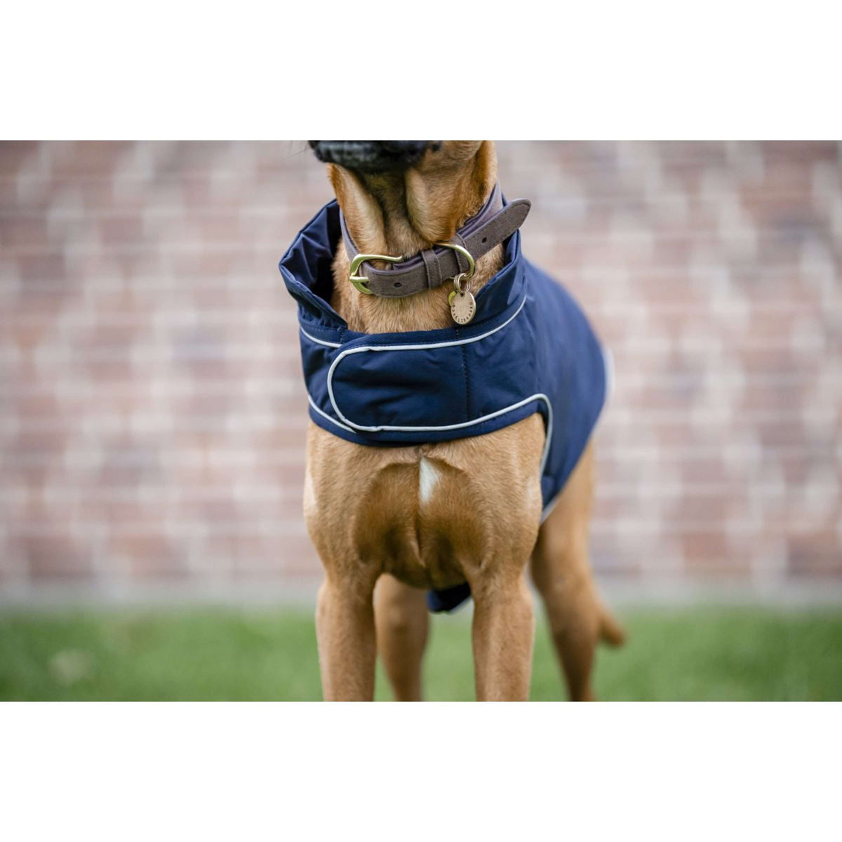 Horseware Hondenregendeken Signature 100g Navy