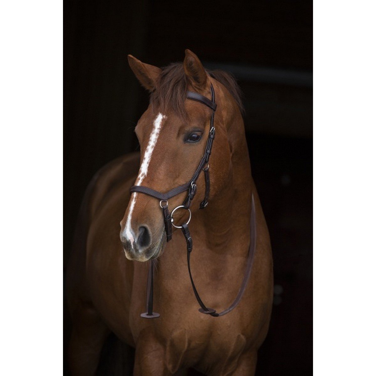 Rambo Micklem Competition Bridle Dark Havanna