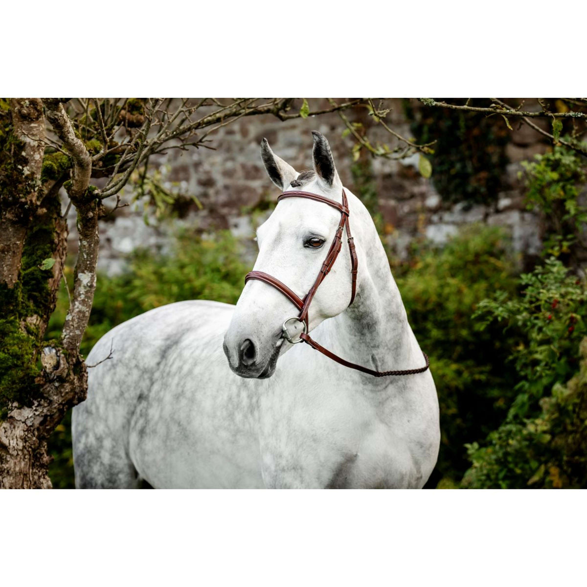 Horseware Hoofdstel Hunter Cavesson met Teugels Dark Tan