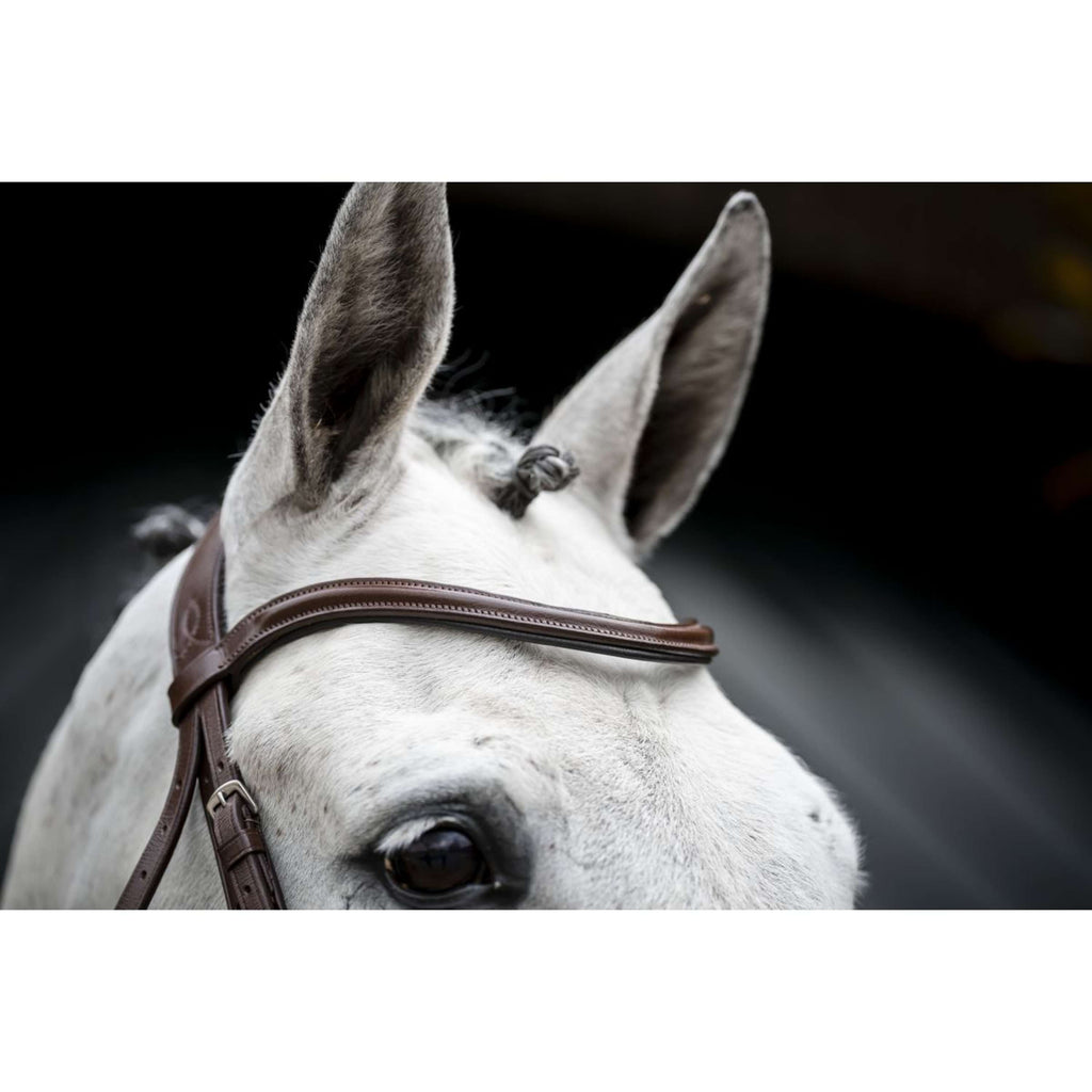 Horseware Hoofdstel Cavesson Bruin