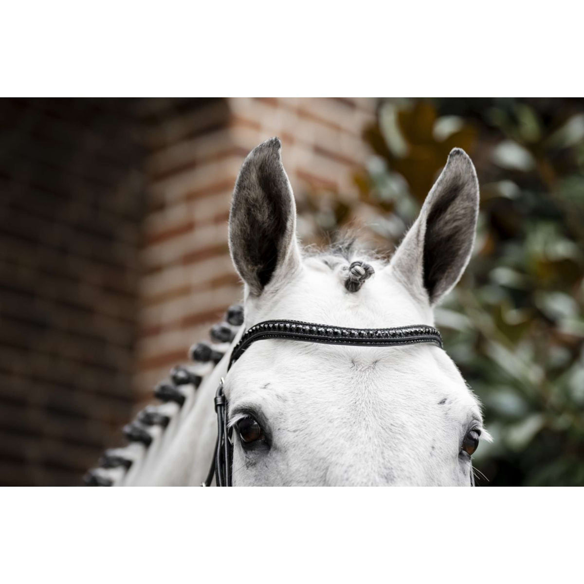 Horseware Hoofdstel Diamante Zwart