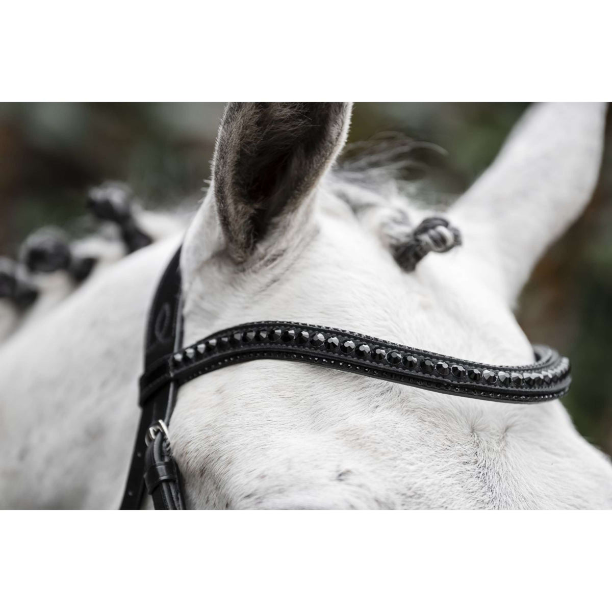 Horseware Hoofdstel Diamante Zwart