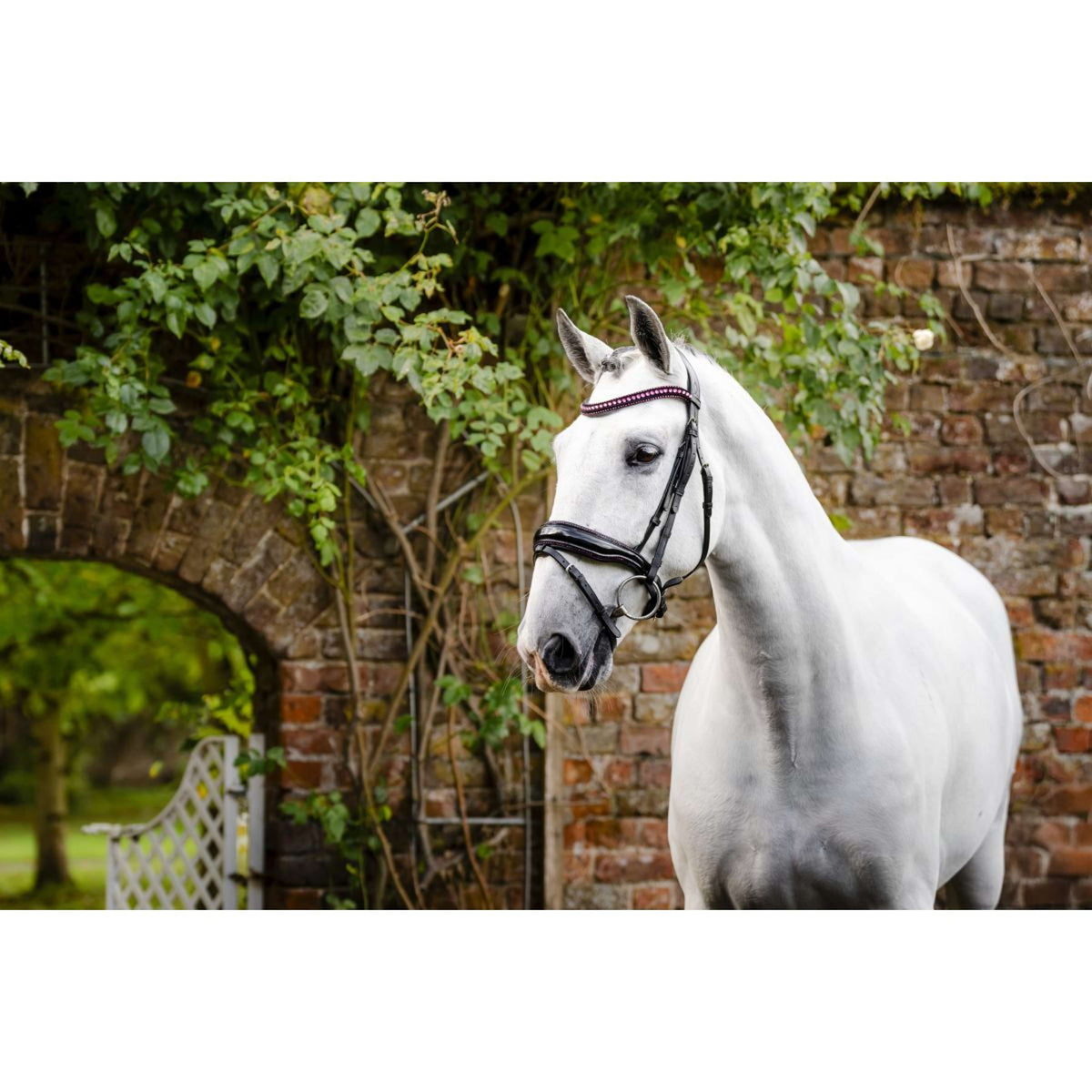 Horseware Hoofdstel Diamante Zwart/Roze