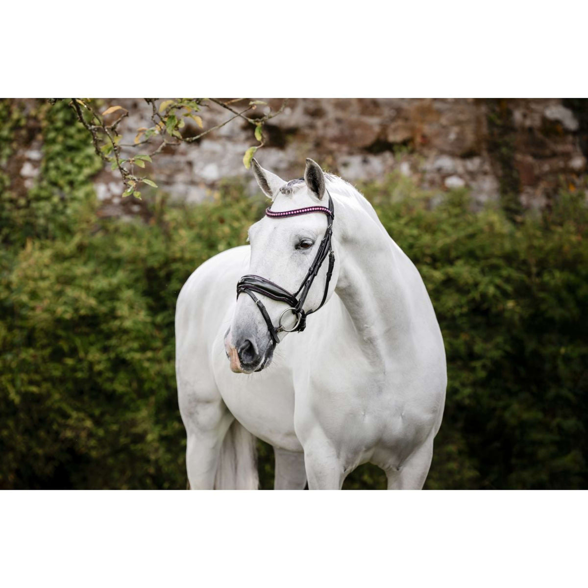 Horseware Hoofdstel Diamante Zwart/Roze