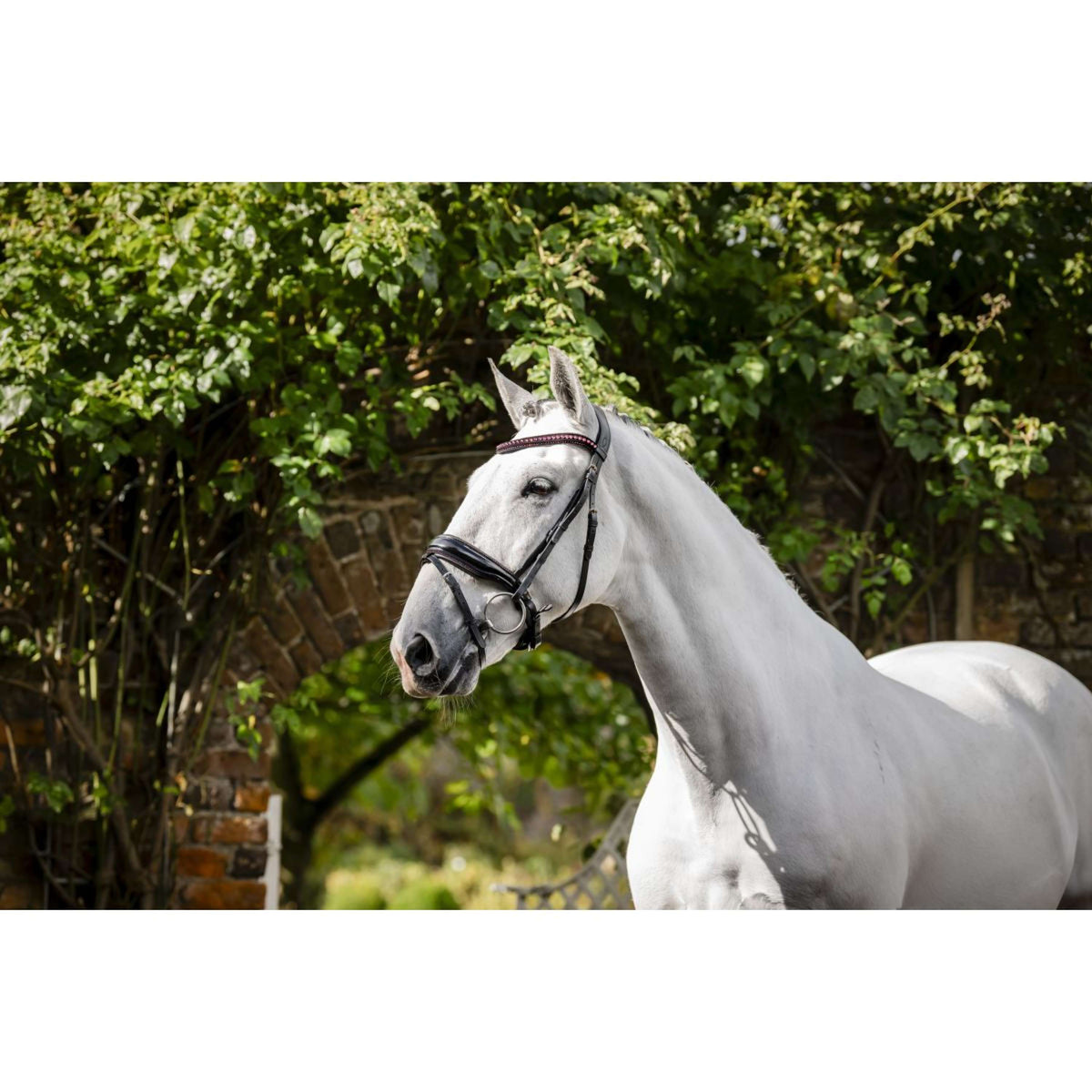 Horseware Hoofdstel Diamante Zwart/Roze