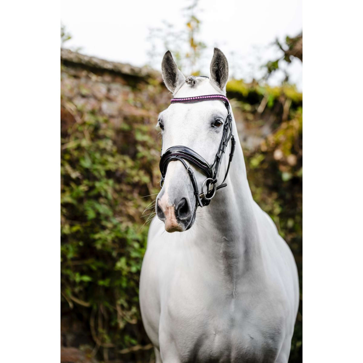 Horseware Hoofdstel Diamante Zwart/Roze