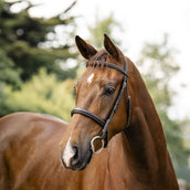 Horseware Hoofdstel Hunter Havana Brown