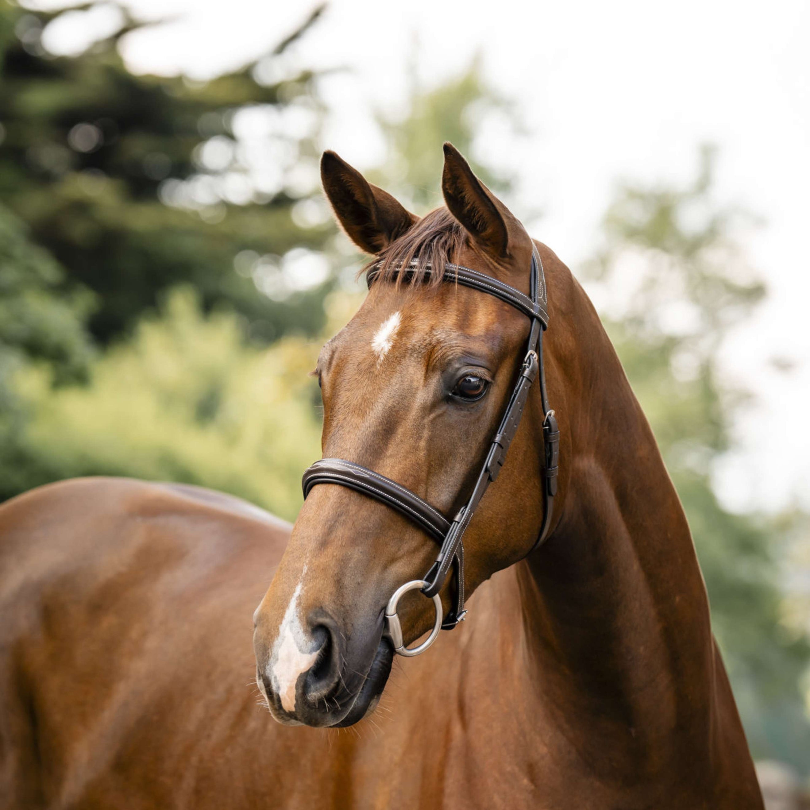 Horseware Hoofdstel Hunter Havana Brown