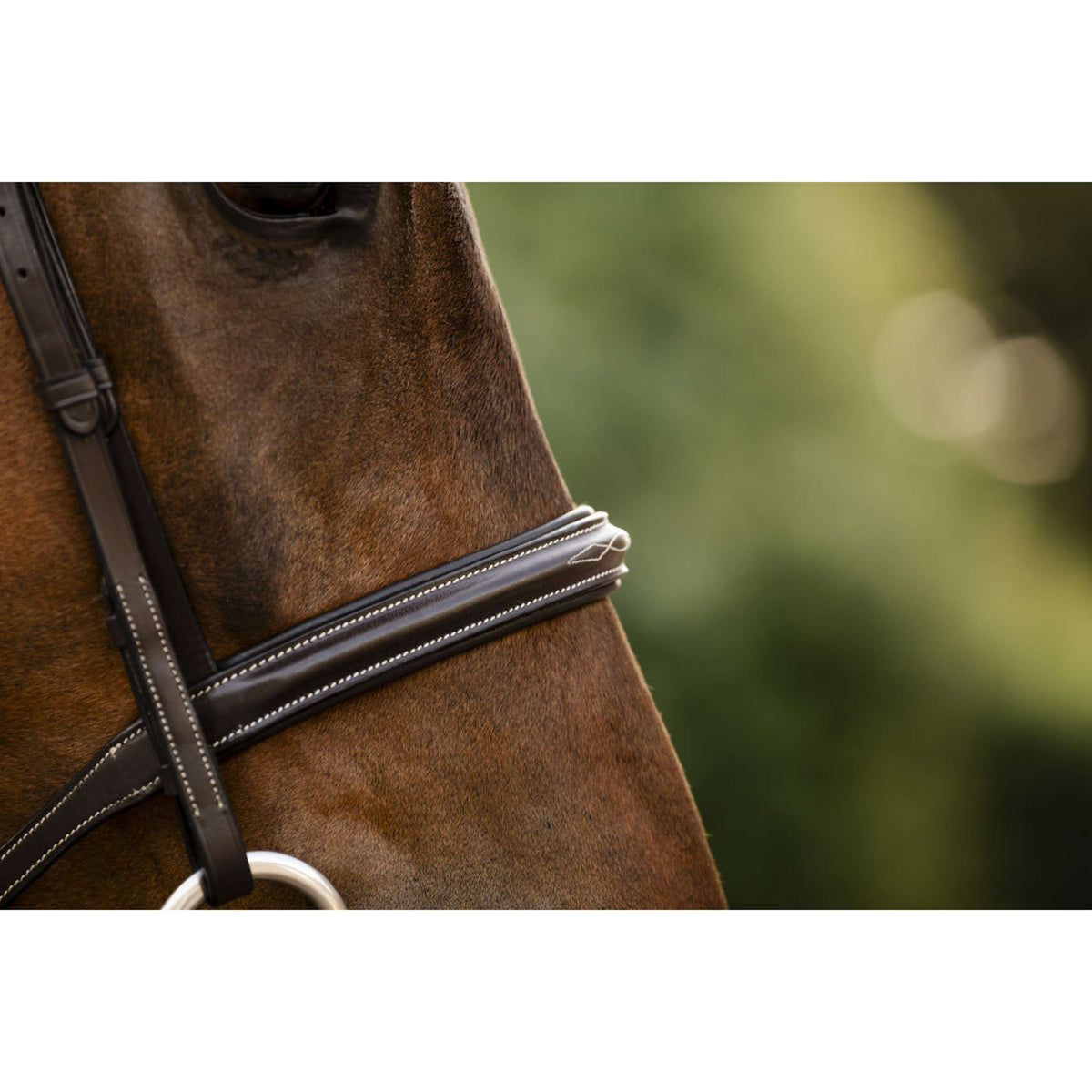 Horseware Hoofdstel Hunter Havana Brown
