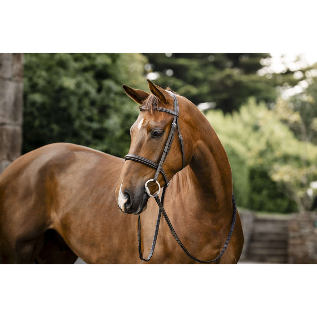 Horseware Hoofdstel Hunter Havana Brown