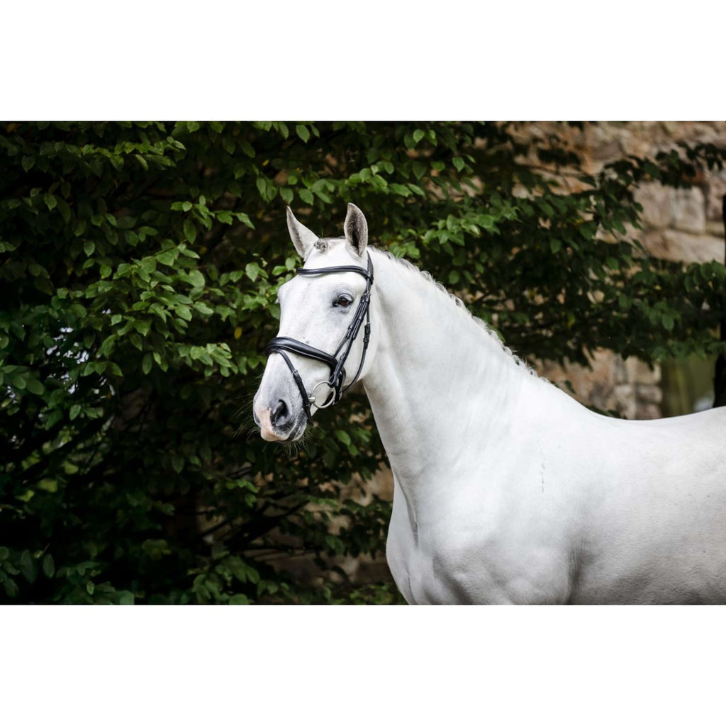 Horseware Hoofdstel Pony Flash Zwart