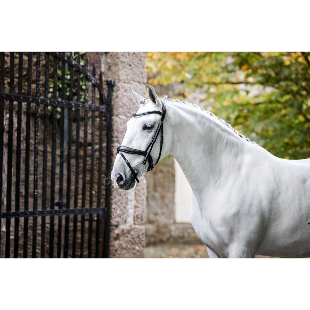 Horseware Hoofdstel Pony Flash Zwart