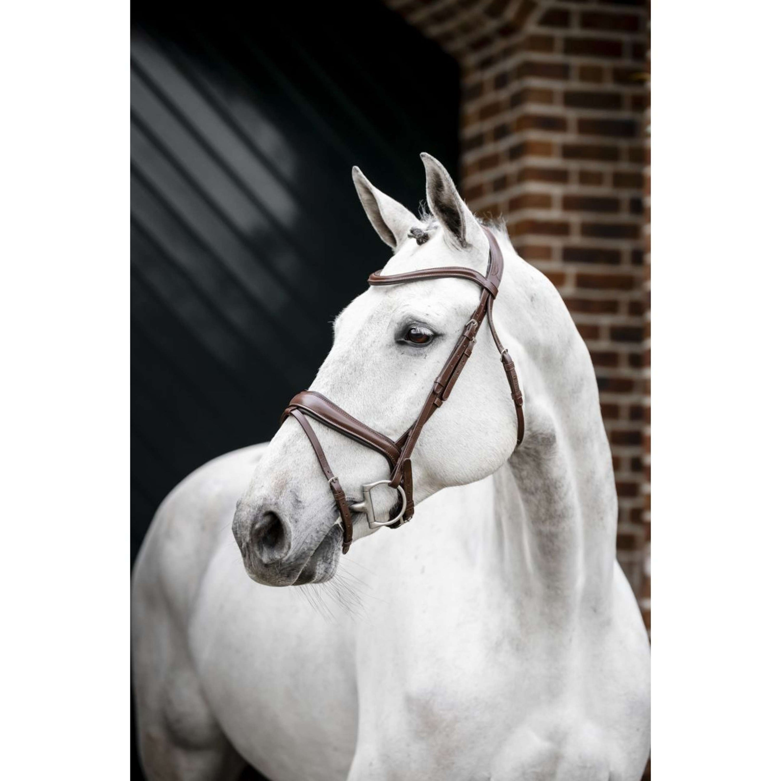 Horseware Hoofdstel Pony Flash Bruin