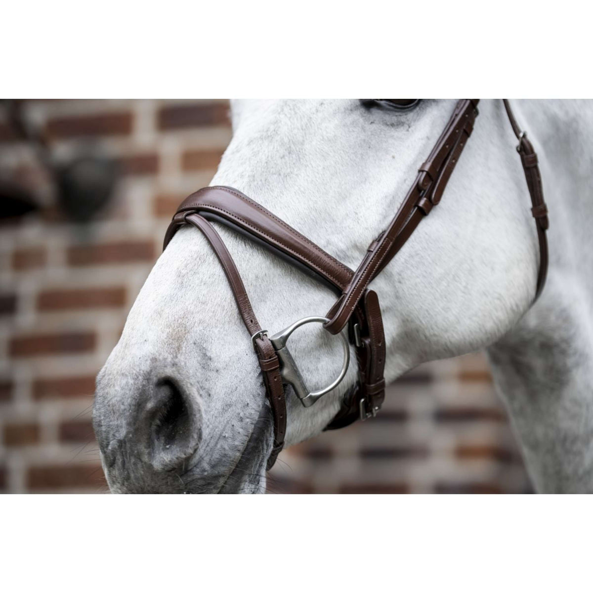 Horseware Hoofdstel Dressage Bruin