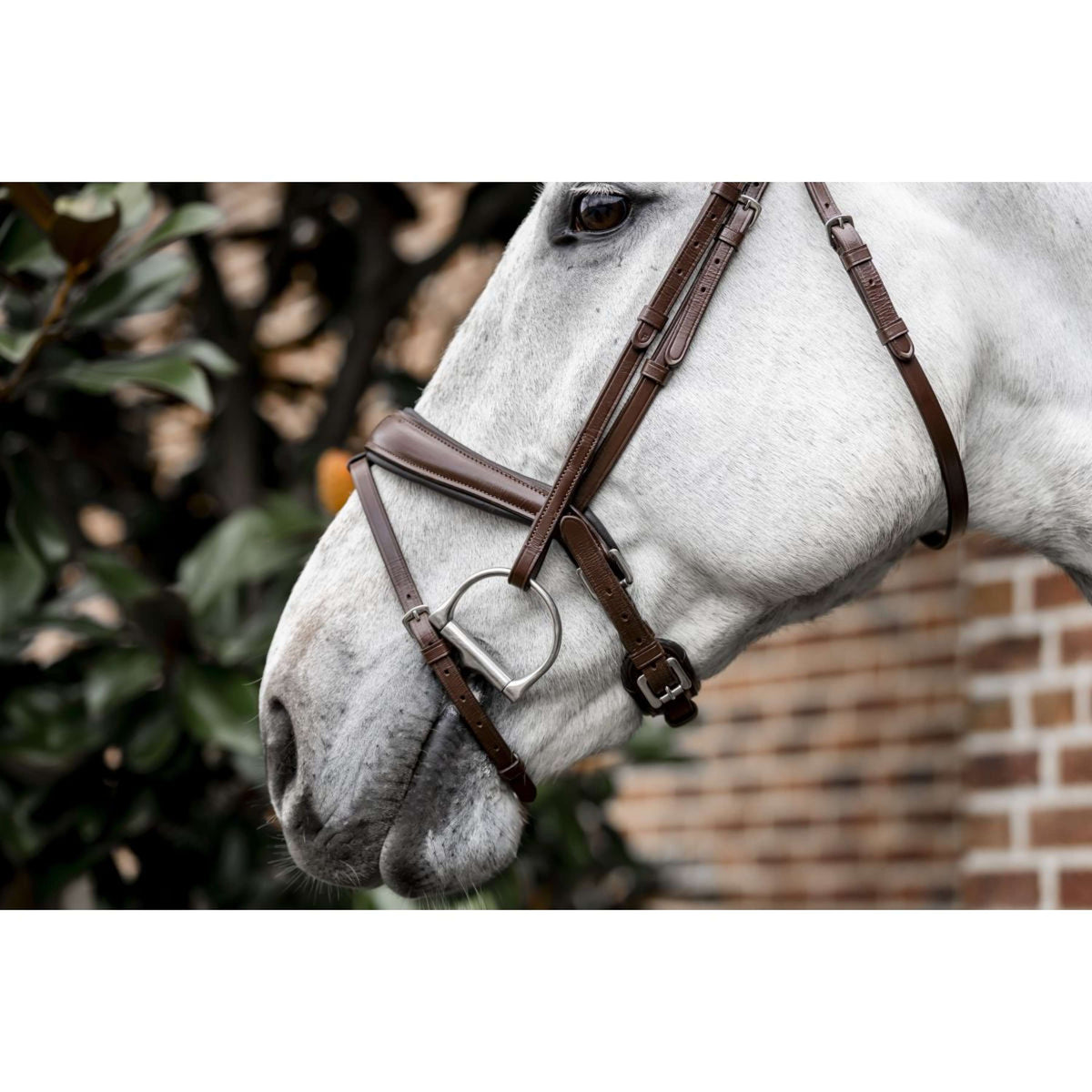 Horseware Hoofdstel Dressage Bruin