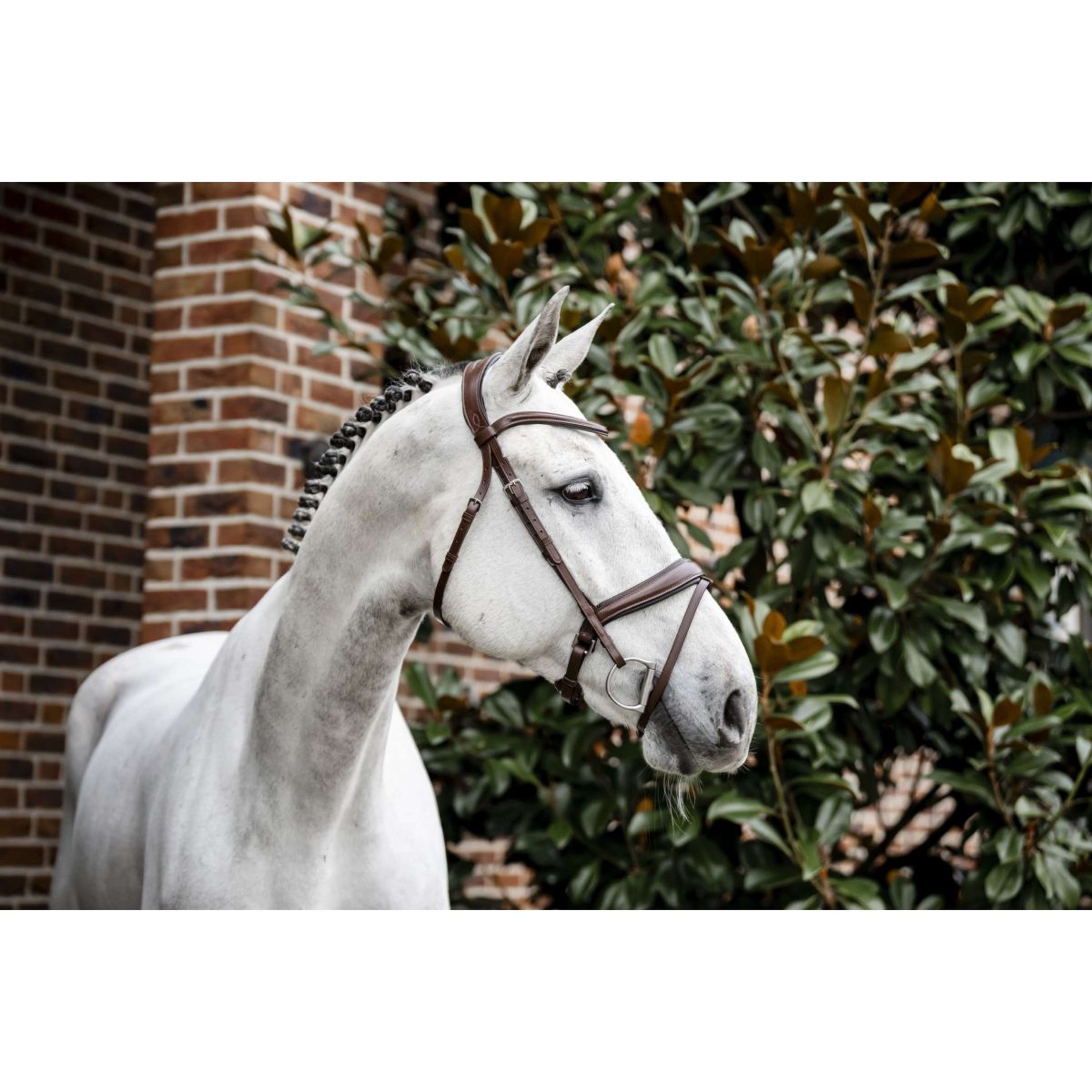 Horseware Hoofdstel Pony Flash Bruin