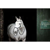 Horseware Micklem Bitless Bridle Zwart