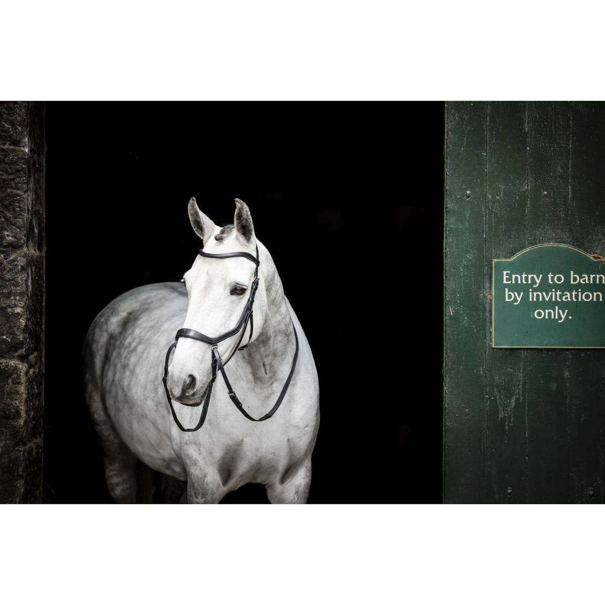 Rambo Micklem Bitless Bridle Zwart