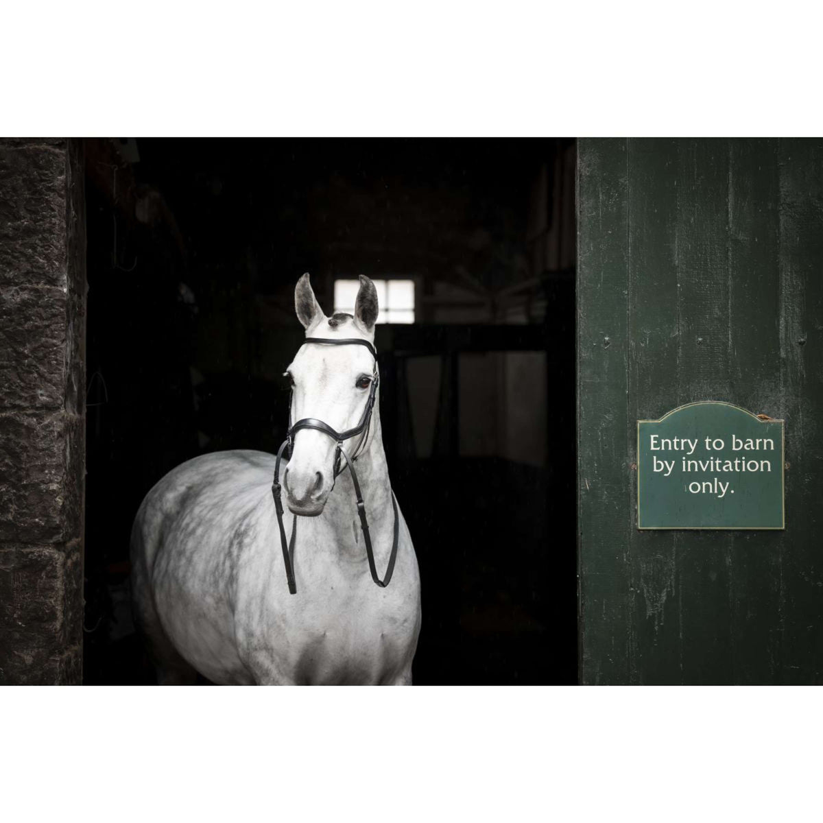 Rambo Micklem Bitless Bridle Zwart