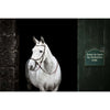 Horseware Micklem Bitless Bridle Bruin