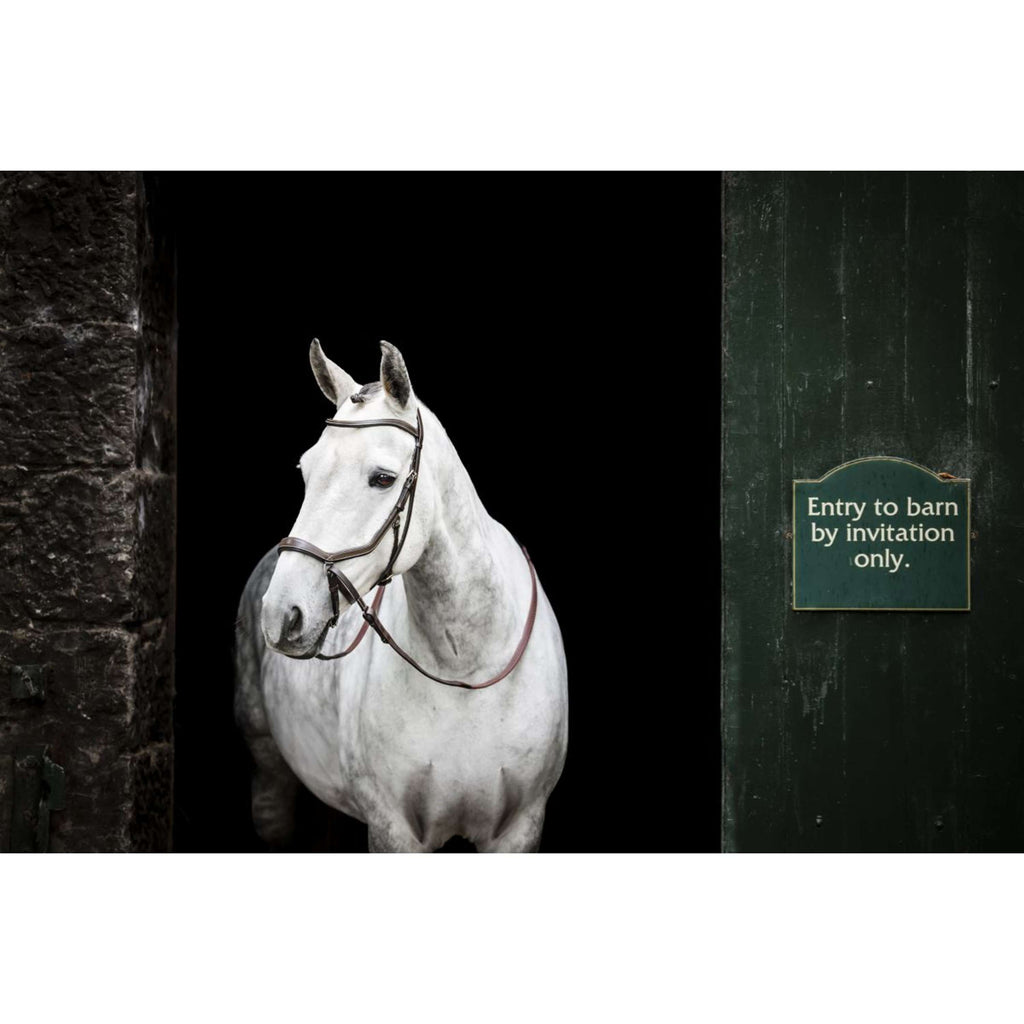 Horseware Micklem Bitless Bridle Bruin